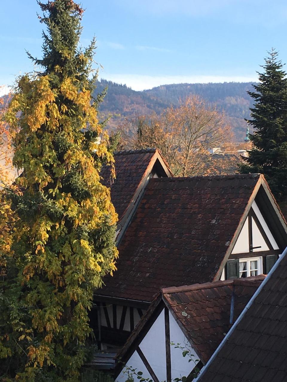 Die Gruene Bettlad Boutique-Hotel Bühl Exteriér fotografie